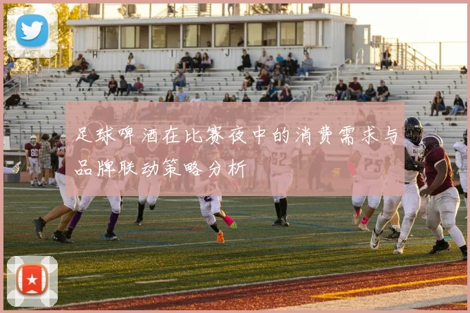 足球啤酒在比赛夜中的消费需求与品牌联动策略分析