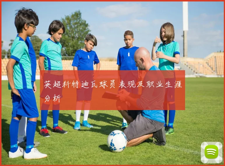 英超科特迪瓦球员表现及职业生涯分析