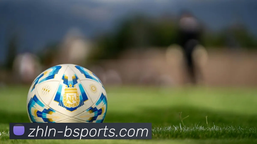 B体育Bsports平台生态图