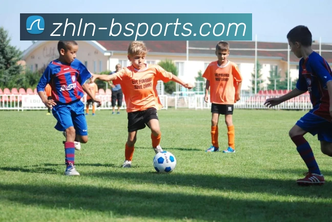 B体育BsportsAPP 封面图